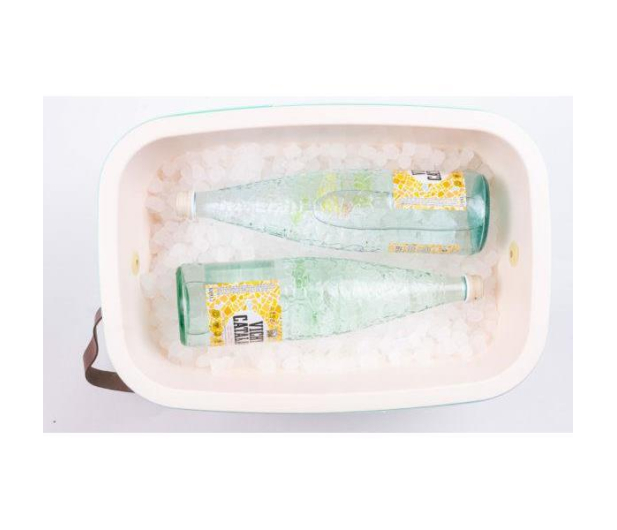 POLARBOX Lodówka turystyczna Polarbox Cyan – Baby Rose classic 20L - 1503804 - zdjęcie 5